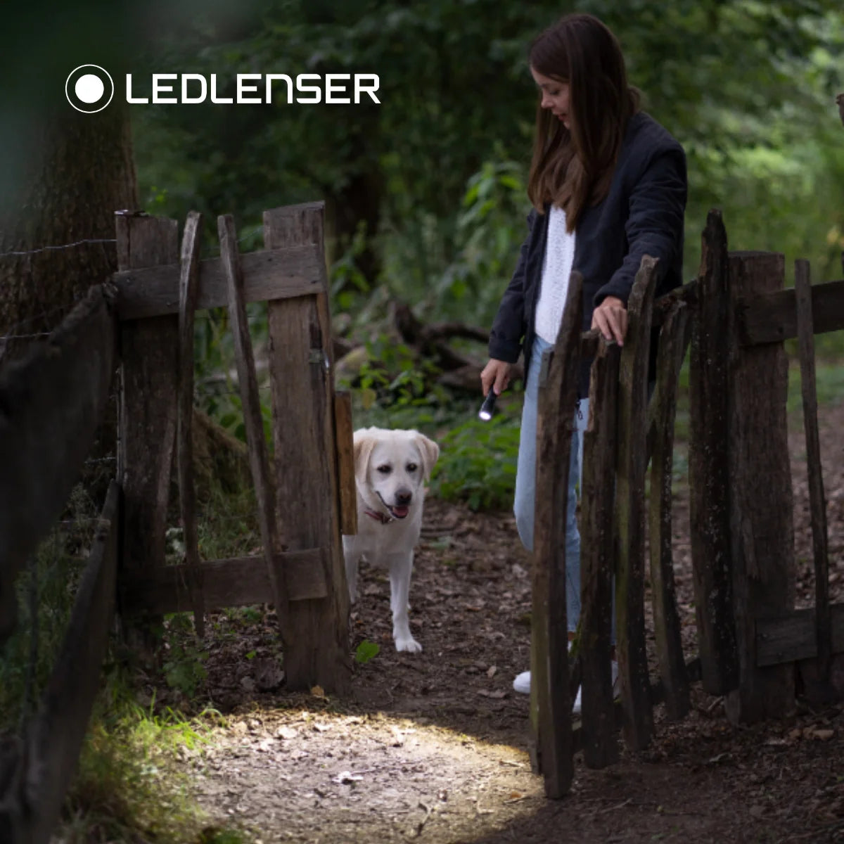 LedLenser P7R Core + P3 Core Torches