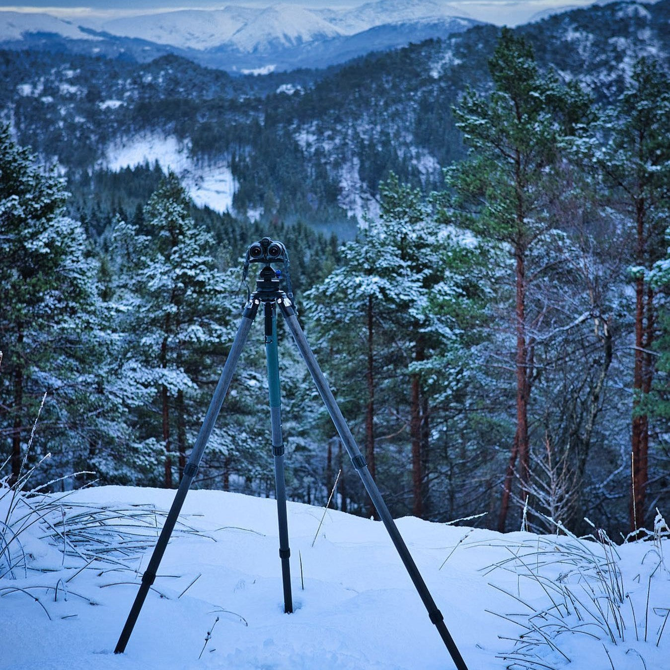Ulfhednar Heavy Duty Tripod with Panhead Arca-Style 35 kg Pro