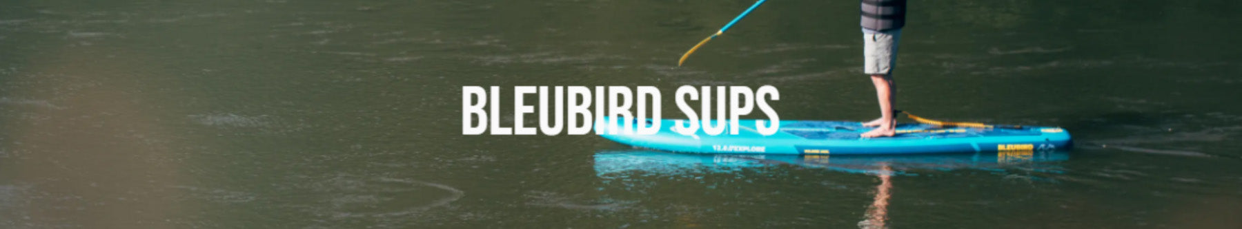 Stand Up Paddleboards
