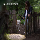 Ledlenser P3 Core 90lm Torch