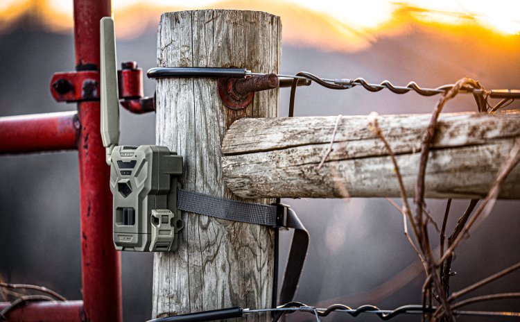 Spypoint Flex-M Trail Camera