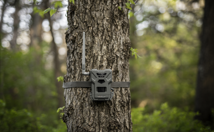 Spypoint Flex-M Trail Camera