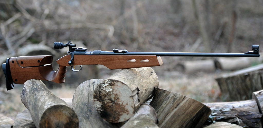 Klinsky Adjustable Stock – CZ 452