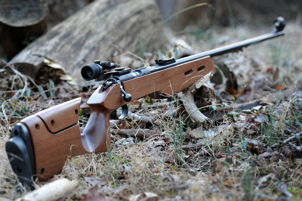 Klinsky Adjustable Stock – CZ 452