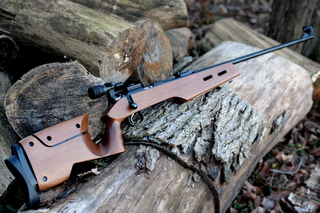 Klinsky Adjustable Stock – CZ 452