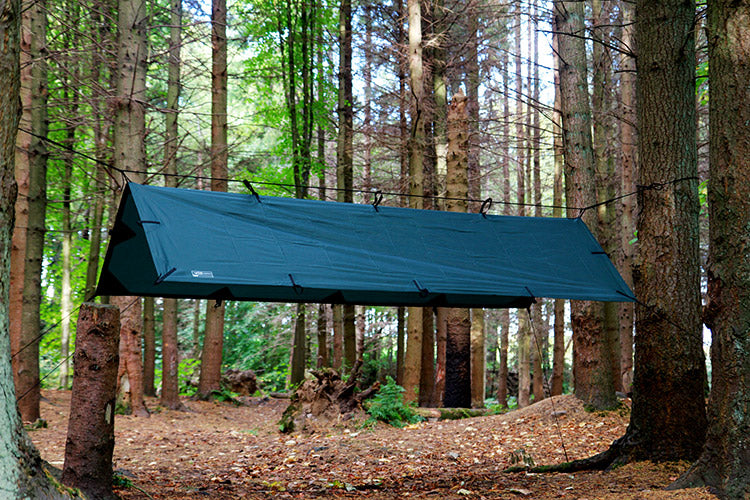 DD Tarp S