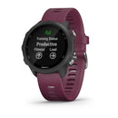 Garmin Forerunner 245 Running Smart Watch